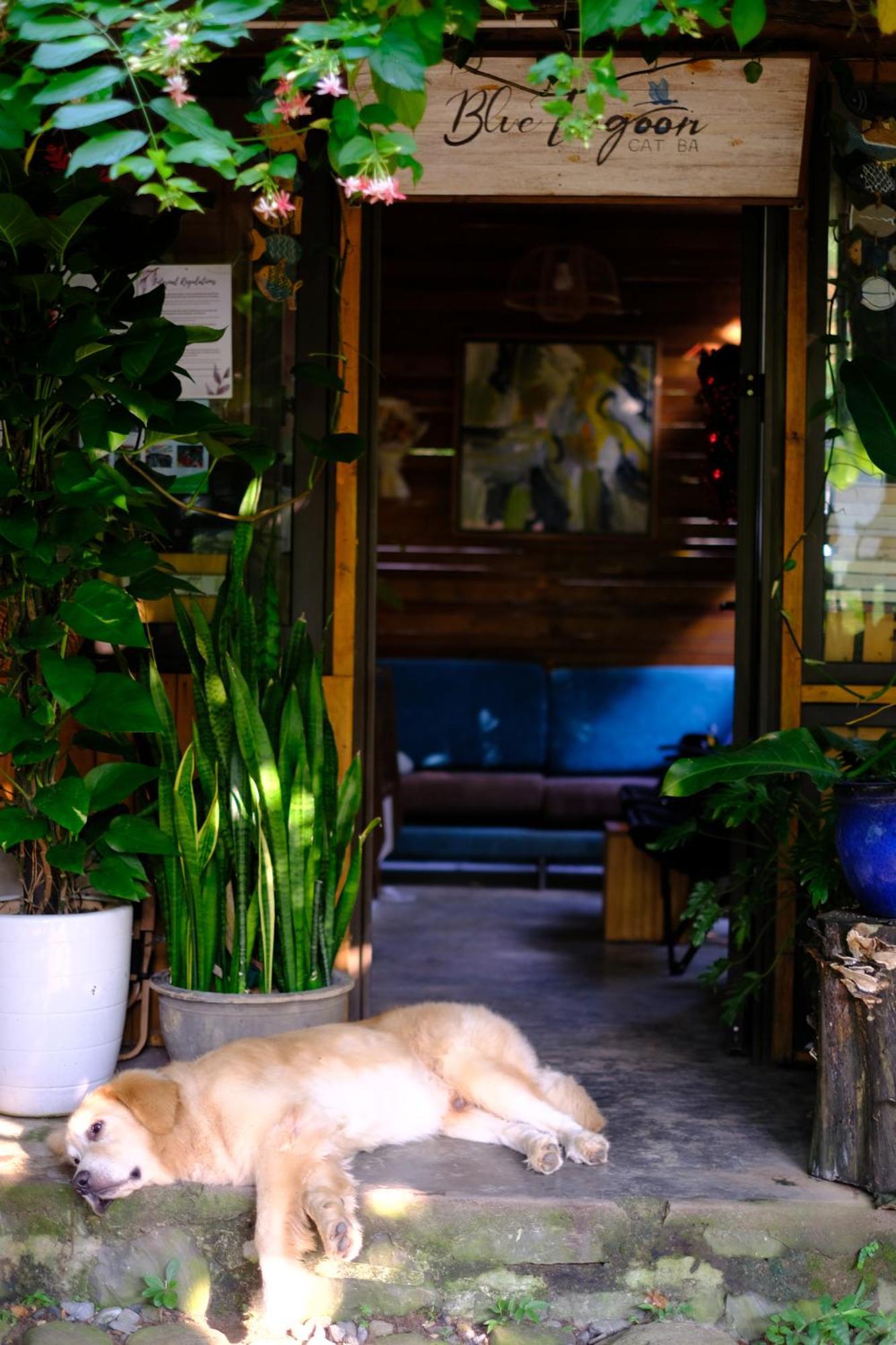 Blue Lagoon Cat Ba Dong Khe Sau Exterior foto