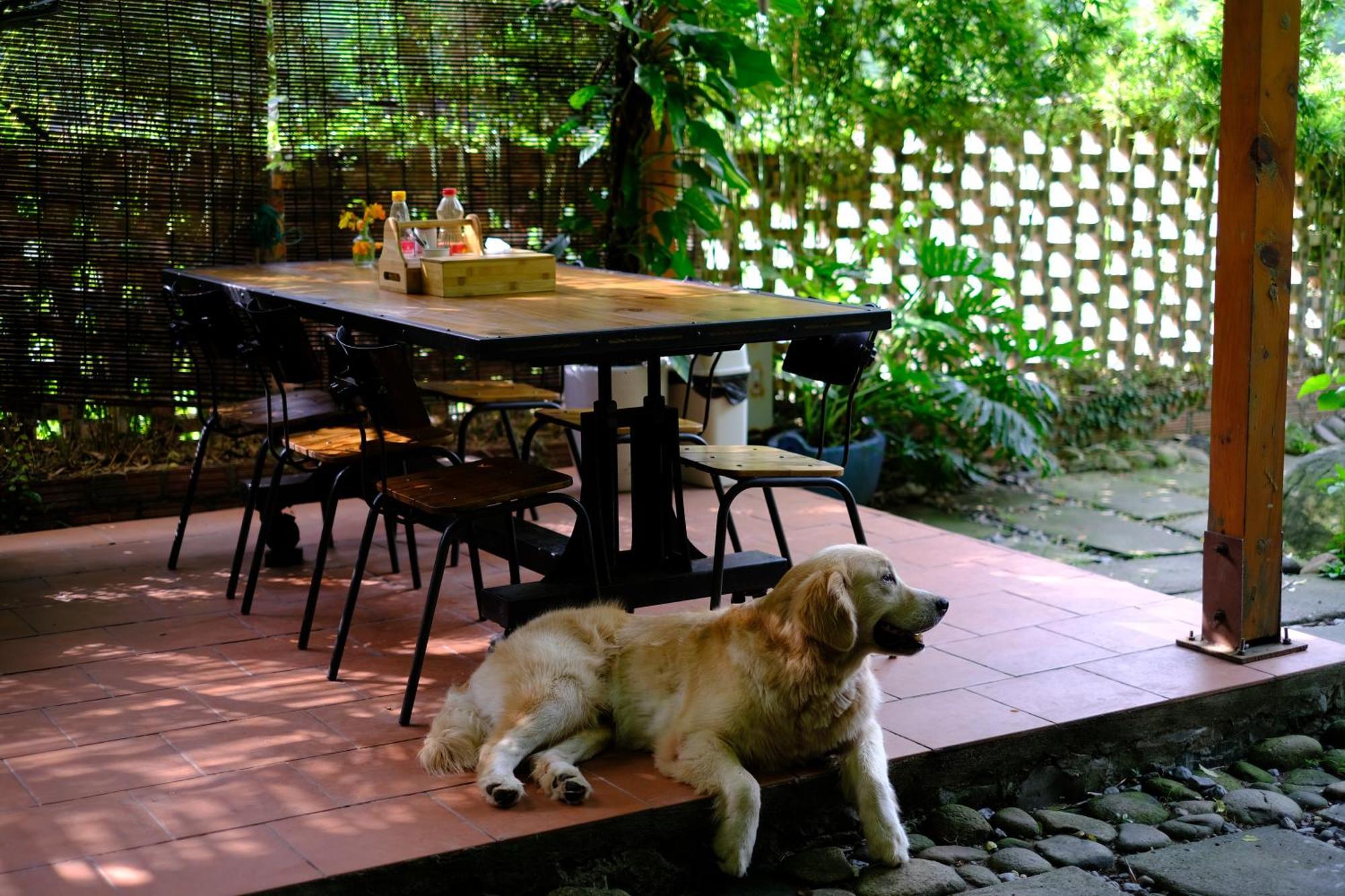 Blue Lagoon Cat Ba Dong Khe Sau Exterior foto